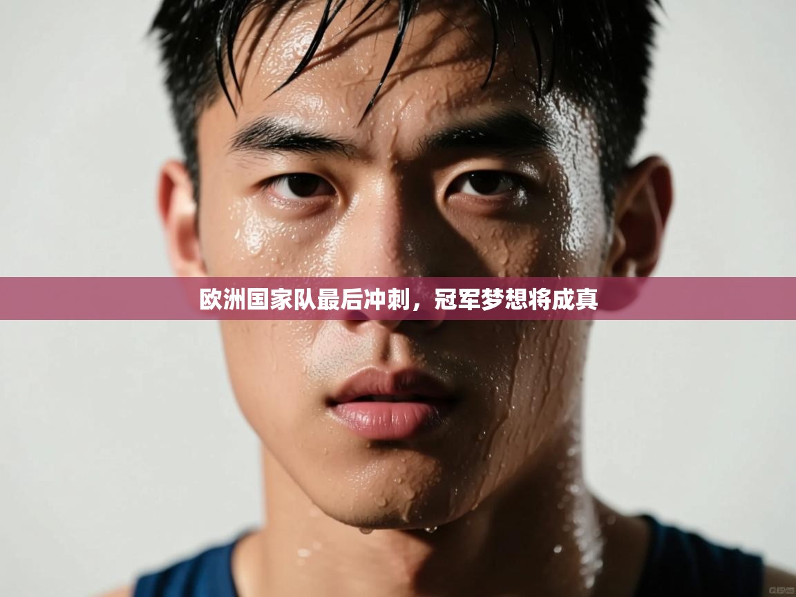 欧洲国家队最后冲刺，冠军梦想将成真  第2张