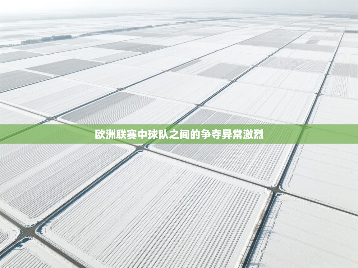 欧洲联赛中球队之间的争夺异常激烈  第2张