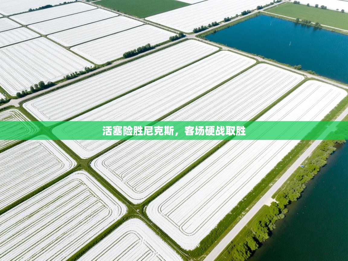 活塞险胜尼克斯，客场硬战取胜  第2张